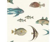 Vliesová tapeta ryby Stories 553529 | Lepidlo zdarma Tapety Rasch - Tapety Stories
