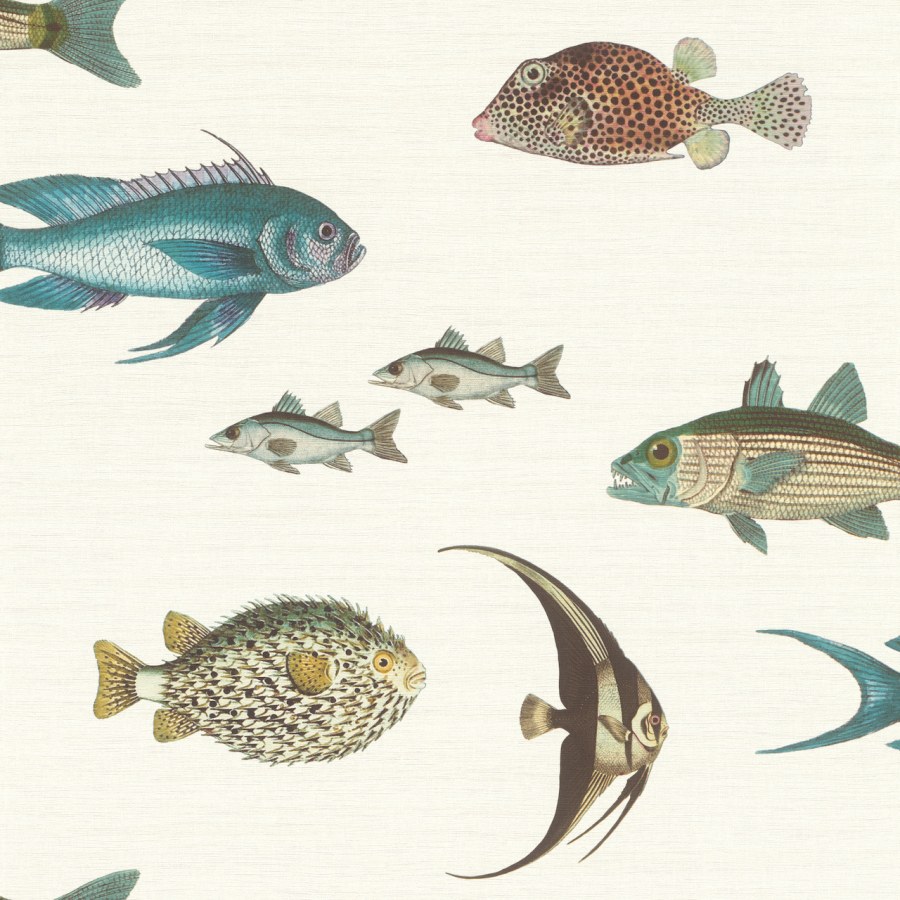 Vliesová tapeta ryby Stories 553529 | Lepidlo zdarma - Tapety Stories
