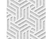 Geometrická vliesová omyvatelná tapeta na zeď 235000 | Lepidlo zdarma Tapety Vavex - Tapety Premium Selection