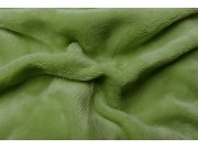 Prostěradlo mikroflanel kiwi (zelená) Ložní povlečení - Prostěradla - Mikroflanelová prostěradla
