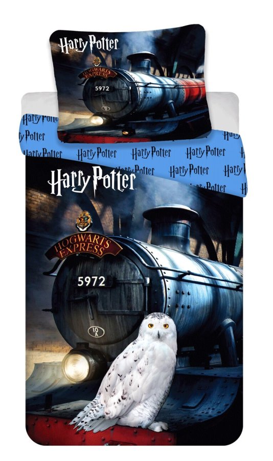 Povlečení Harry Potter 111 140x200, 70x90 cm - Licenční povlečení