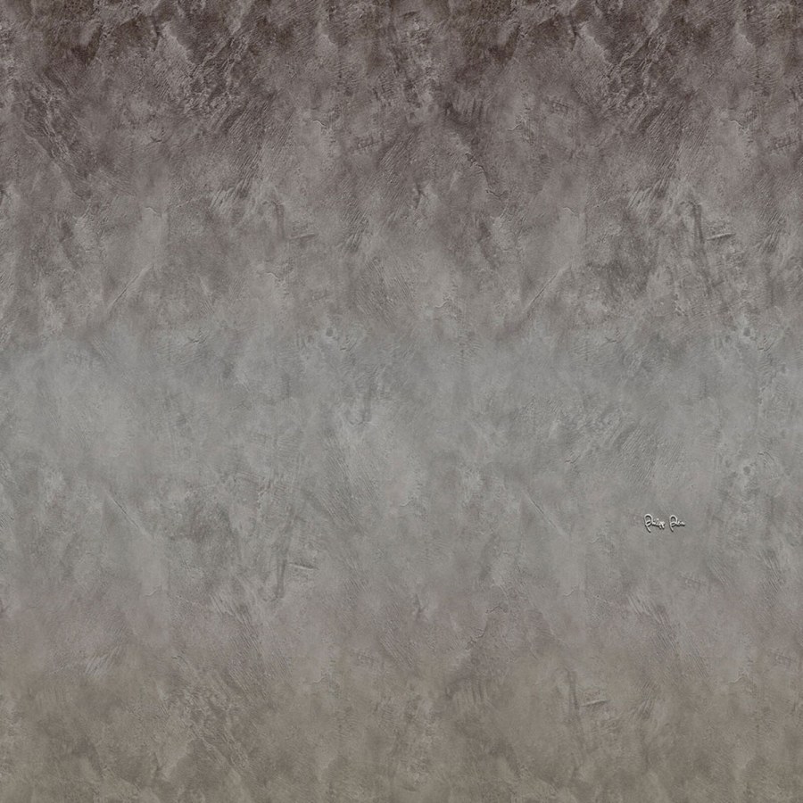 Obrazová vliesová tapeta šedý beton Z80074 Philipp Plein 300x300 cm Obrazová vliesová tapeta šedý beton Z80074 Philipp Plein 300x300 cm