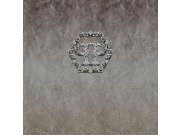 Obrazová vliesová tapeta šedý beton Z80073 Philipp Plein 300x300 cm Tapety Vavex - Tapety Zambaiti Parati - Philipp Plein