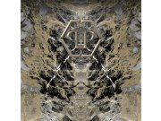 Obrazová vliesová tapeta mramor Z80067 Philipp Plein 300x300 cm Tapety Vavex - Tapety Zambaiti Parati - Philipp Plein