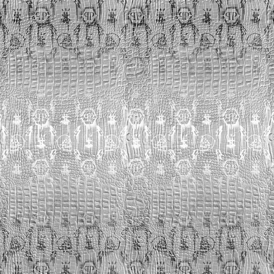 Šedá obrazová vliesová tapeta s lebkami Z8098 Philipp Plein 300x300 cm - Philipp Plein