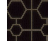 Černá geometrická vliesová tapeta s vinylovým povrchem Z80023 Philipp Plein