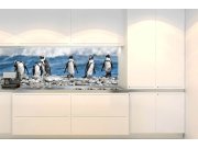 Samolepicí fototapeta do kuchyně KI-180-112 Tučňáci | 180 x 60 cm Samolepící fototapety - Na kuchyňskou linku