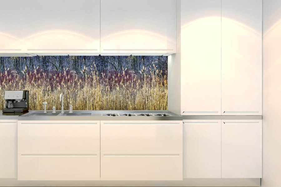 Samolepicí fototapeta do kuchyně KI-180-170 Zimní rákos | 180 x 60 cm - Na kuchyňskou linku