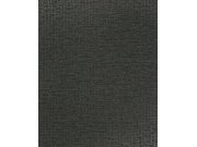 Černá vliesová tapeta 312456 | Lepidlo zdarma Tapety Eijffinger - Artifact