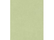 Zelená tapeta na zeď Paraiso 330052 | Lepidlo zdarma Tapety Rasch - Tapety Paraiso