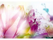Fototapeta AG Light Flowers FTNXXL-0443 | 360x270 cm Fototapety vliesové - Vliesové fototapety AG