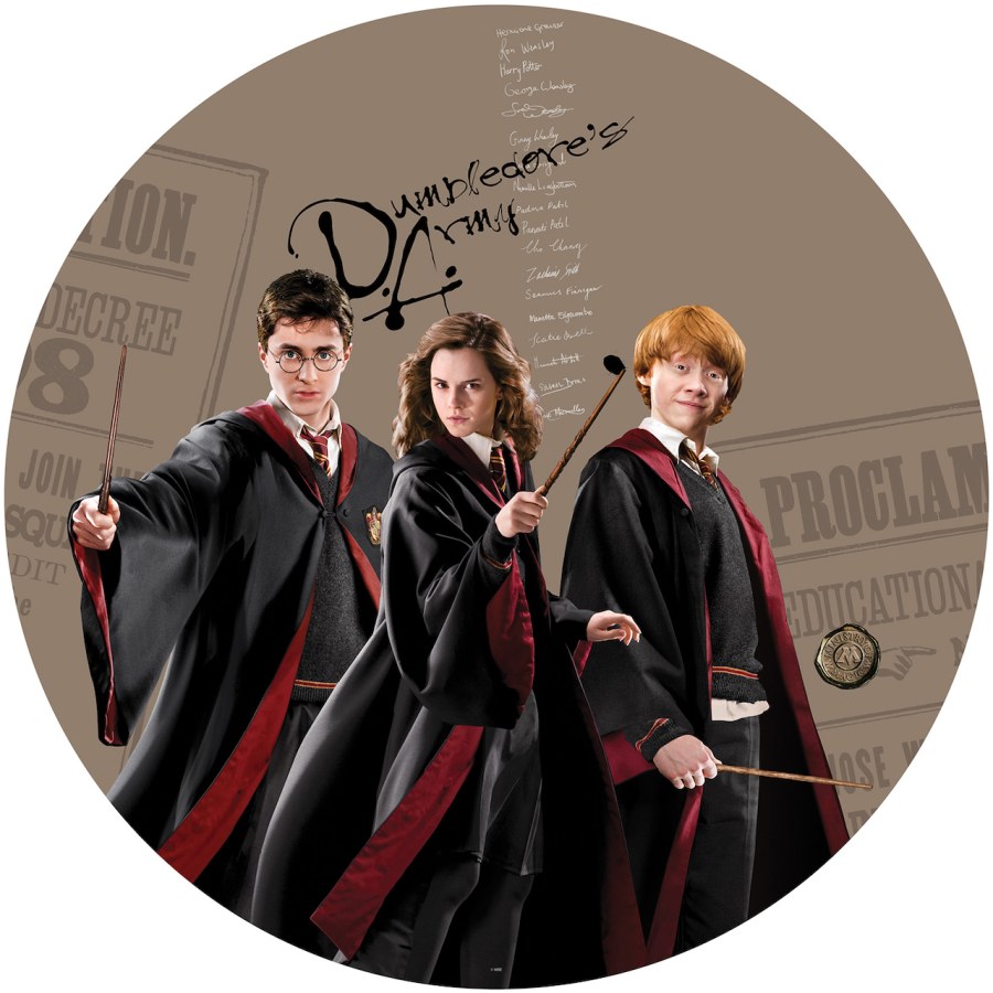 Samolepicí vliesová dekorace Harry Potter CRD5805 | průměr 70 cm - Dětské samolepky na zeď