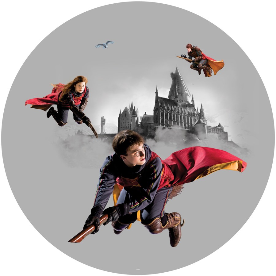 Samolepicí vliesová dekorace Harry Potter CRD5807 | průměr 70 cm - Dětské samolepky na zeď