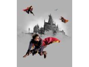 Vliesová fototapeta Harry Potter FTD3P5167 | 225 x 270 cm Fototapety pro děti