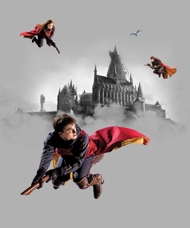 Vliesová fototapeta Harry Potter FTD3P5167 | 225 x 270 cm - Fototapety pro děti