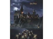 Vliesová fototapeta Harry Potter FTD3P5175 | 225 x 270 cm Fototapety pro děti