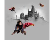 Vliesová fototapeta Harry Potter FTD4P5095 | 300 x 270 cm Fototapety pro děti