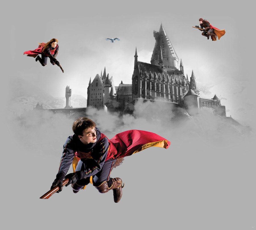 Vliesová fototapeta Harry Potter FTD4P5095 | 300 x 270 cm - Fototapety pro děti