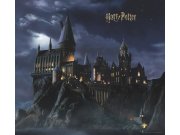 Vliesová fototapeta Harry Potter FTD4P7803 | 300 x 270 cm Fototapety pro děti