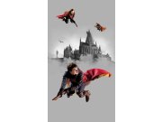 Vliesová fototapeta Harry Potter FTD2P5613 | 150 x 270 cm Fototapety pro děti