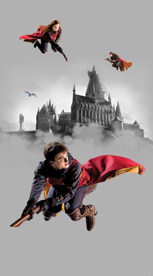 Vliesová fototapeta Harry Potter FTD2P5613 | 150 x 270 cm - Fototapety pro děti