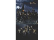 Vliesová fototapeta Harry Potter FTD2P5621 | 150 x 270 cm Fototapety pro děti