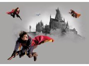 Vliesová fototapeta Harry Potter FTDNM5293 | 155 x 110 cm Fototapety pro děti