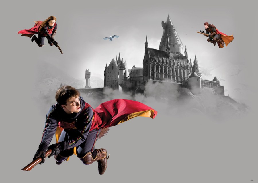 Vliesová fototapeta Harry Potter FTDNM5293 | 155 x 110 cm - Fototapety pro děti