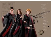 Vliesová fototapeta Harry Potter FTDNM5295 | 155 x 110 cm Fototapety pro děti