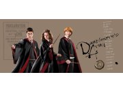 Vliesová fototapeta Harry Potter FTDNH5515 | 170 x 75 cm Fototapety pro děti