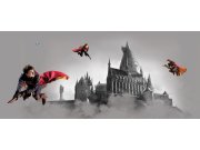 Vliesová fototapeta Harry Potter FTDNH5517 | 170 x 75 cm Fototapety pro děti