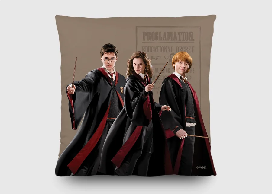 Dekorační polštář Harry Potter CND3155 | 40 x 40 cm - Dětské samolepky na zeď