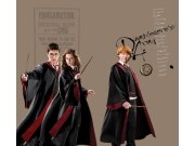 Textilní závěs Harry Potter FCSXL6607 | 180 x 160 Závěsy