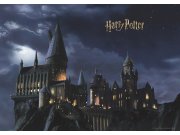 Papírová fototapeta Harry Potter FTDXL1965 | 252 x 182 cm Fototapety pro děti - Fototapety dětské vliesové