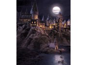 Vliesová fototapeta Harry Potter FTD3P5177 | 225 x 270 cm Fototapety pro děti - Fototapety dětské vliesové