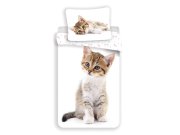 Povlečení fototisk Kitten white 140x200, 70x90 cm Ložní povlečení - Dětské povlečení - Fototisk povlečení