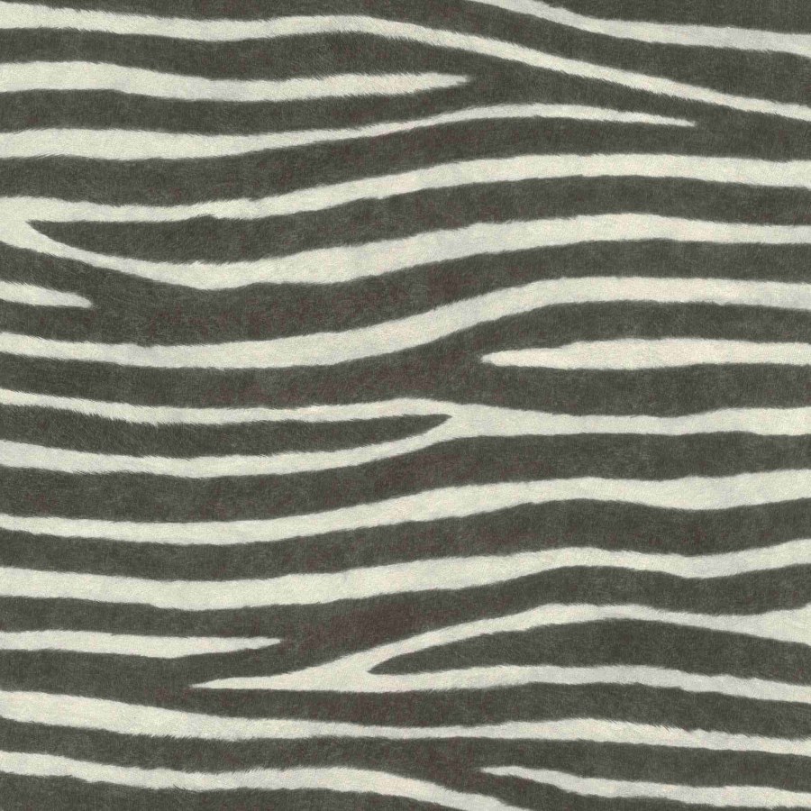 RASCH 751727 - African Queen