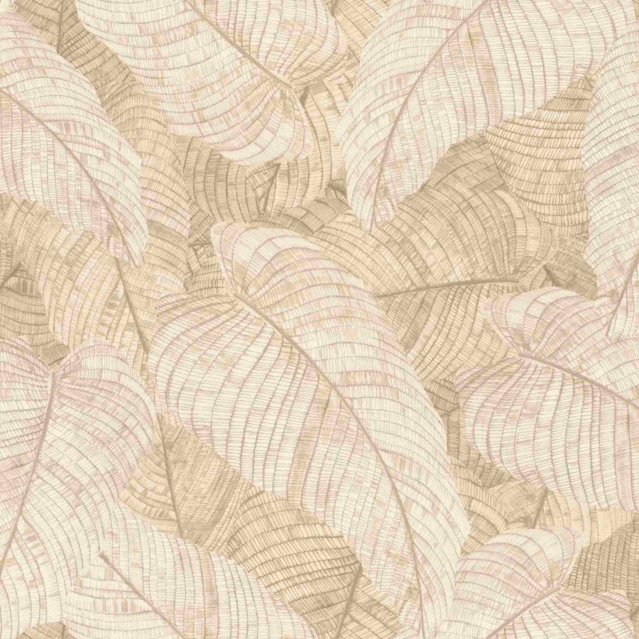 RASCH 720556 - Amara
