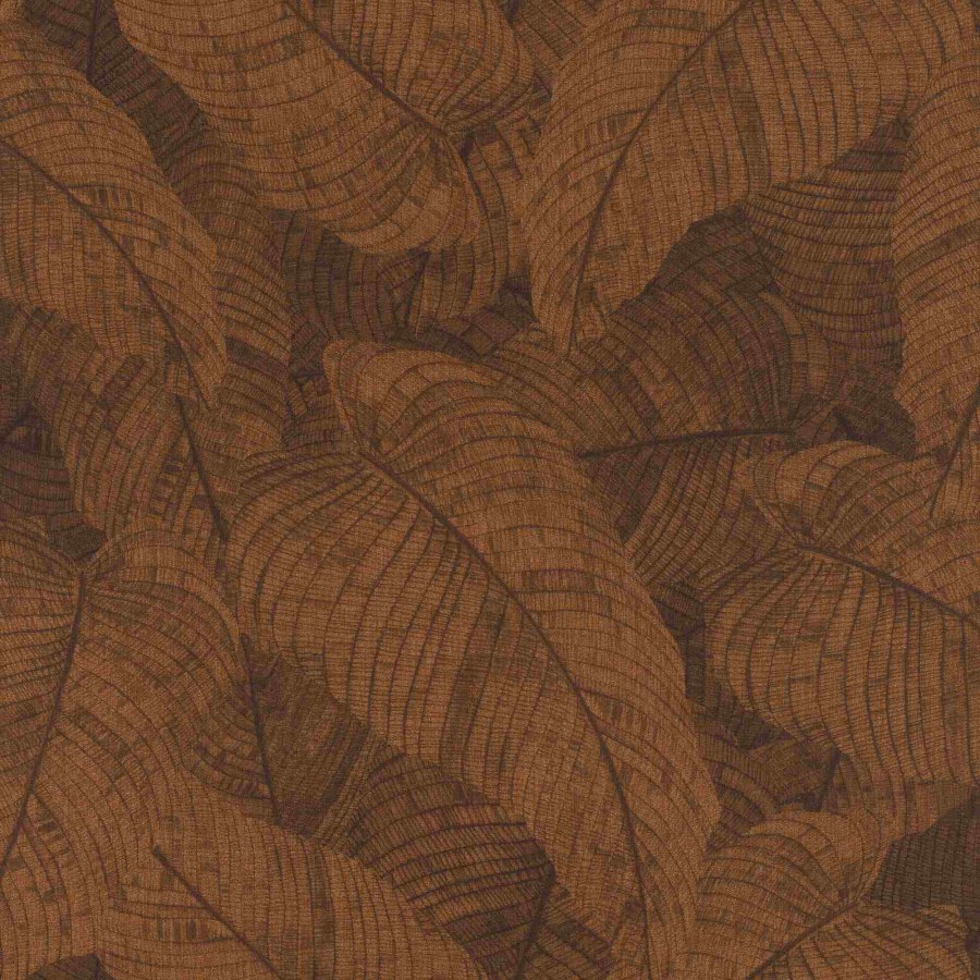 RASCH 720563 - Amara