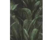 Tapety AS Création Back to Nature - RASCH 416237 RASCH 416237