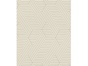 Tapety Rasch Tapety Deco Style - RASCH 312515 RASCH 312515