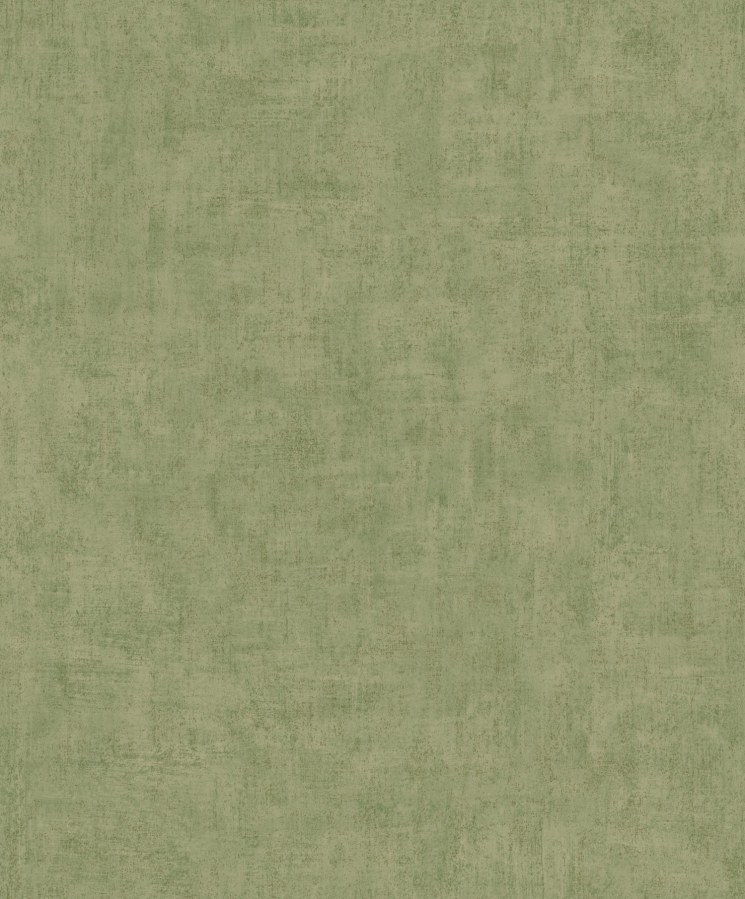 Vliesová tapeta na zeď | zelená | beton | štuk | A51515 | Lepidlo zdarma Vliesová tapeta na zeď | zelená | beton | štuk | A51515 | Lepidlo zdarma