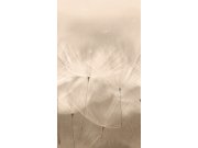 Vliesová fototapeta na zeď | pampelišky | 203801 | Lepidlo zdarma
