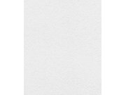 Tapety AS Création Unsere Besten - RASCH 340433 RASCH 340433