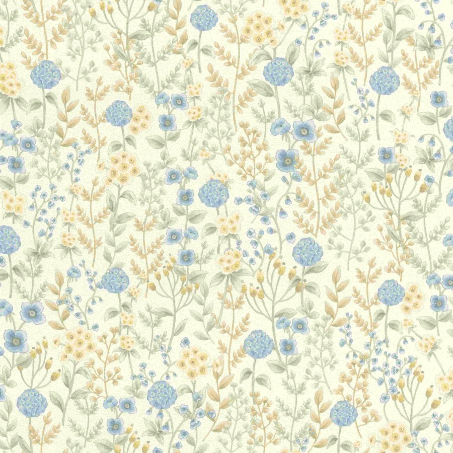 RASCH 793710 - Beltesto