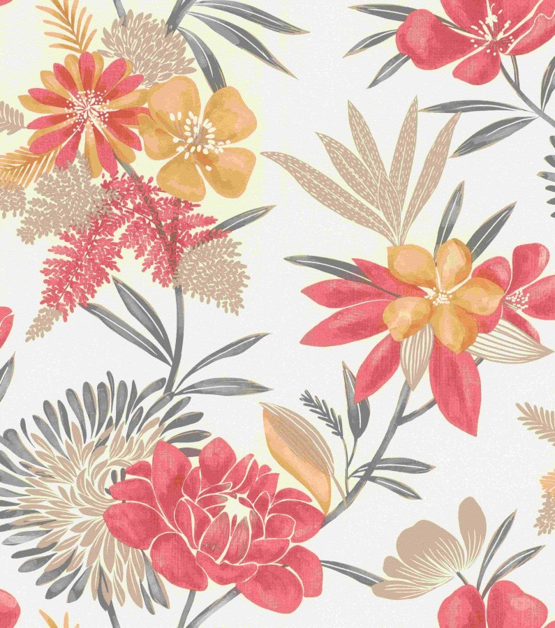 RASCH 794243 - Beltesto