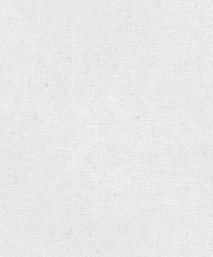 RASCH 520828 - Beltesto