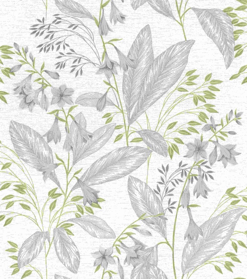 RASCH 794441 - Beltesto