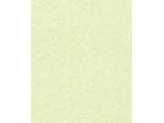 RASCH 520835 Tapety AS Création - Beltesto