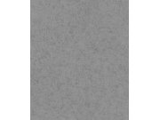 RASCH 520873 Tapety AS Création - Beltesto